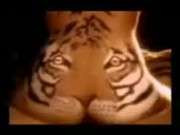 Прно фильмы прно тигр